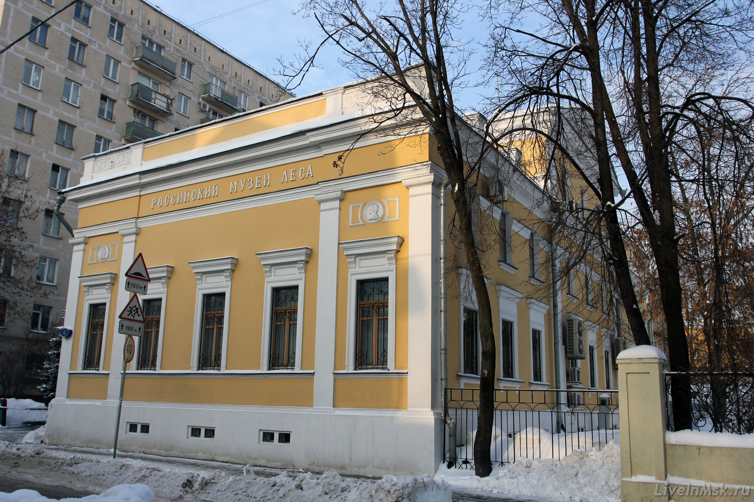 Российский музей леса, фото 2013 года