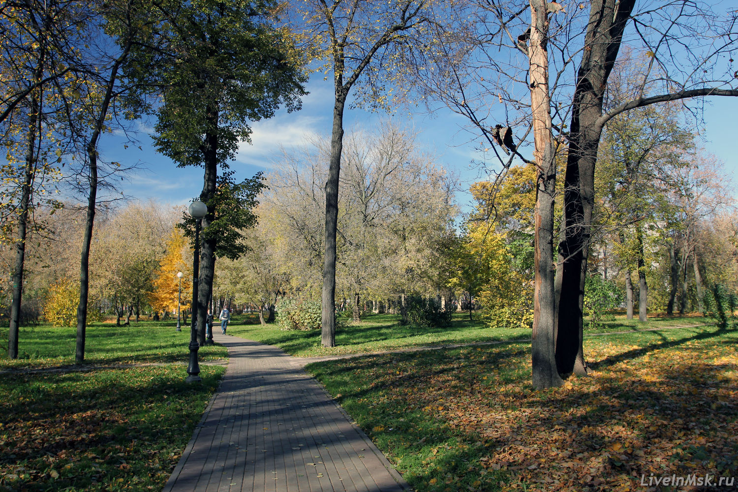 Петровский парк, фото 2014 года