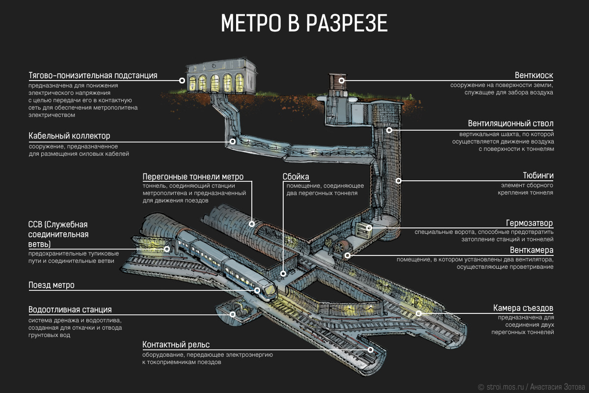 Инфографика: как устроено метро