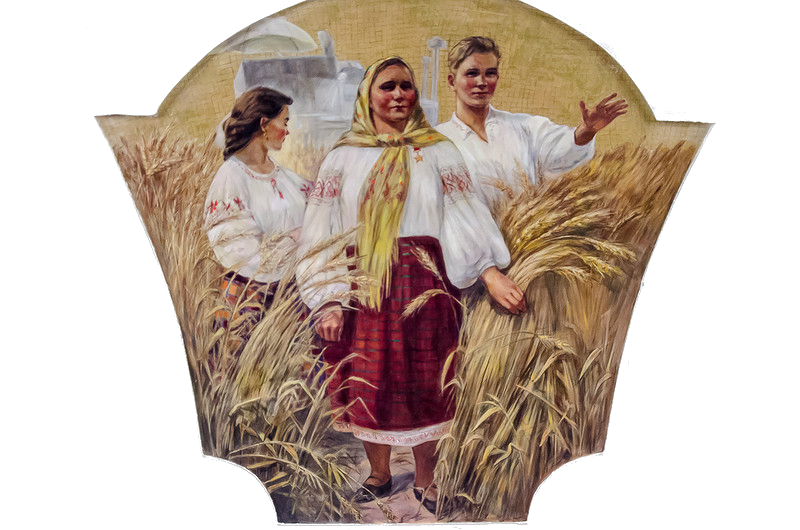 Киевская(радиальная):Сбор урожая