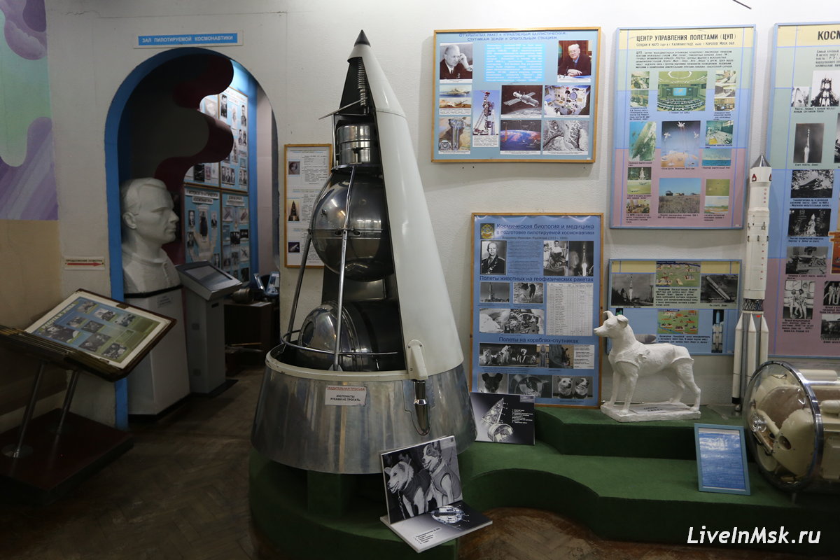 Тренировочная кабина Лайки в музее авиации и космонавтики, фото 2023 года