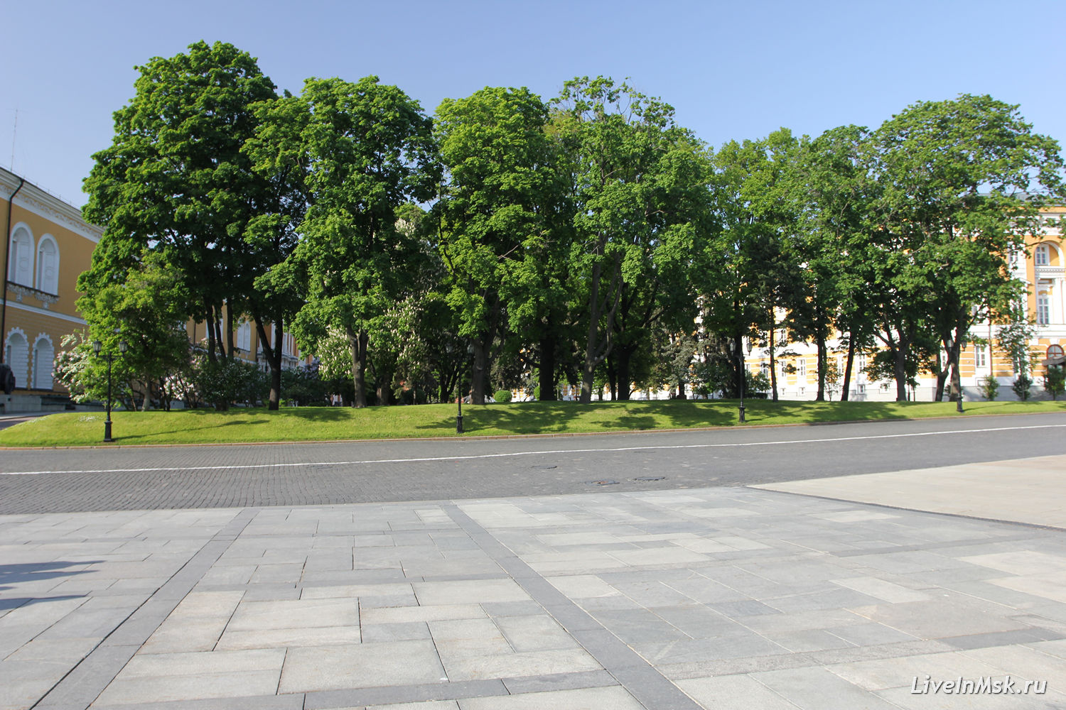 Сенатская площадь, фото 2015 года