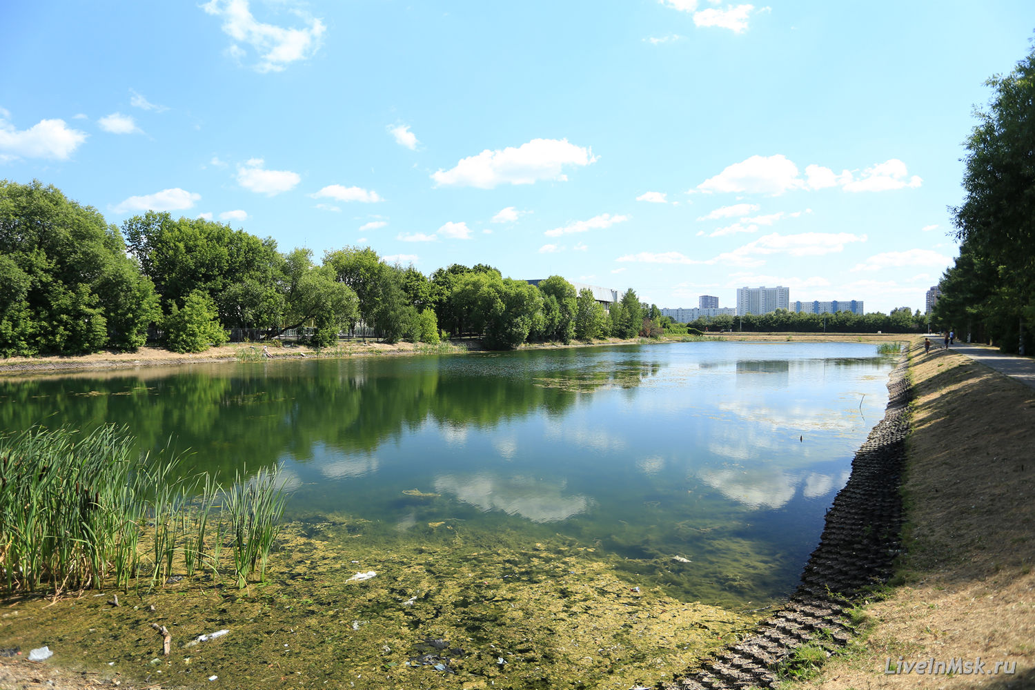 Петровское-Разумовское, Средний фермский пруд, фото 2015 года