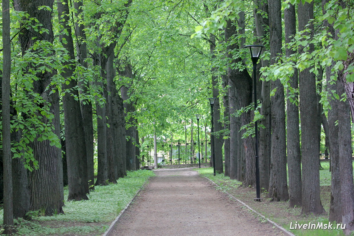 Парк усадьбы Петровско-Разумовское, фото 2023 года