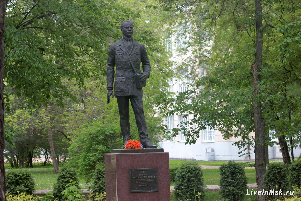 Памятник Н.И. Вавилову в Тимирязевской академии, фото 2023 года