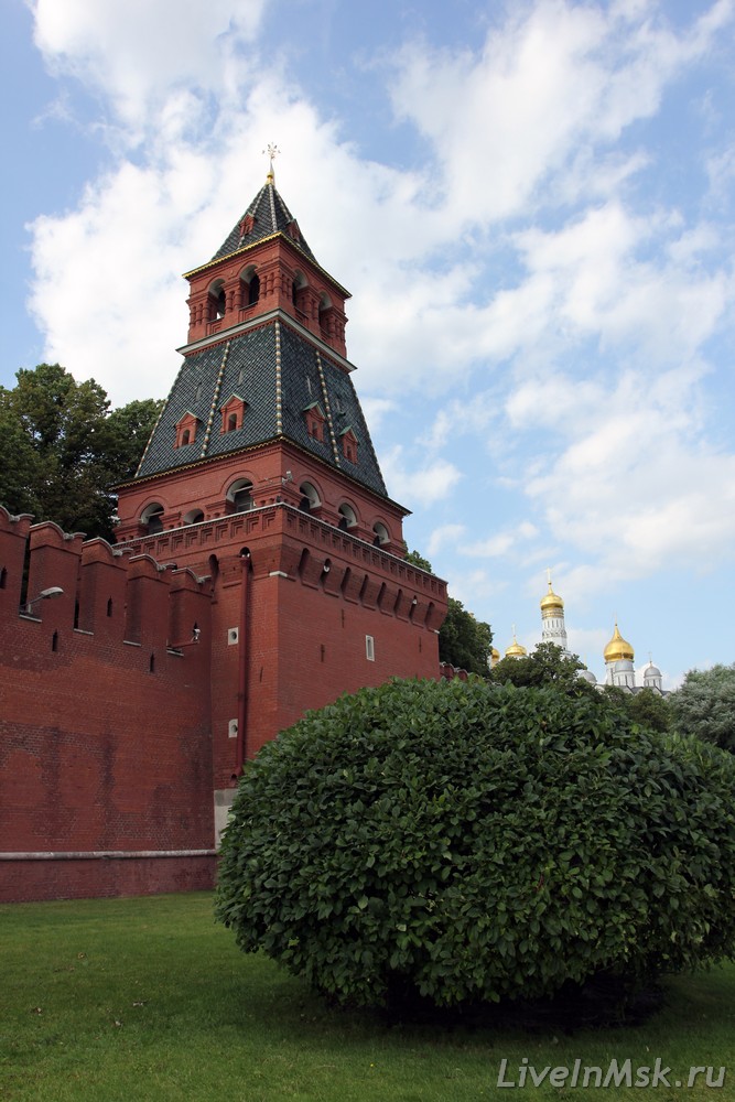 Благовещенская башня Московского Кремля, фото 2015 года