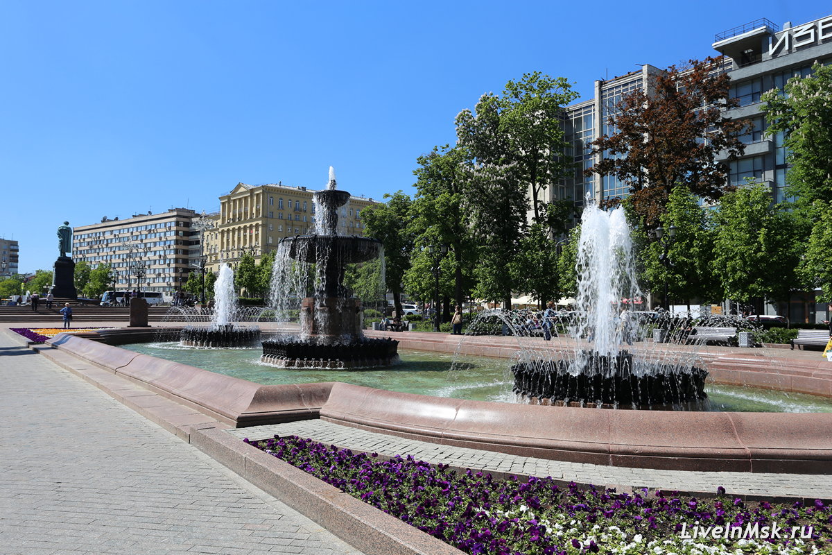 Пушкинский сквер, фото 2019 года