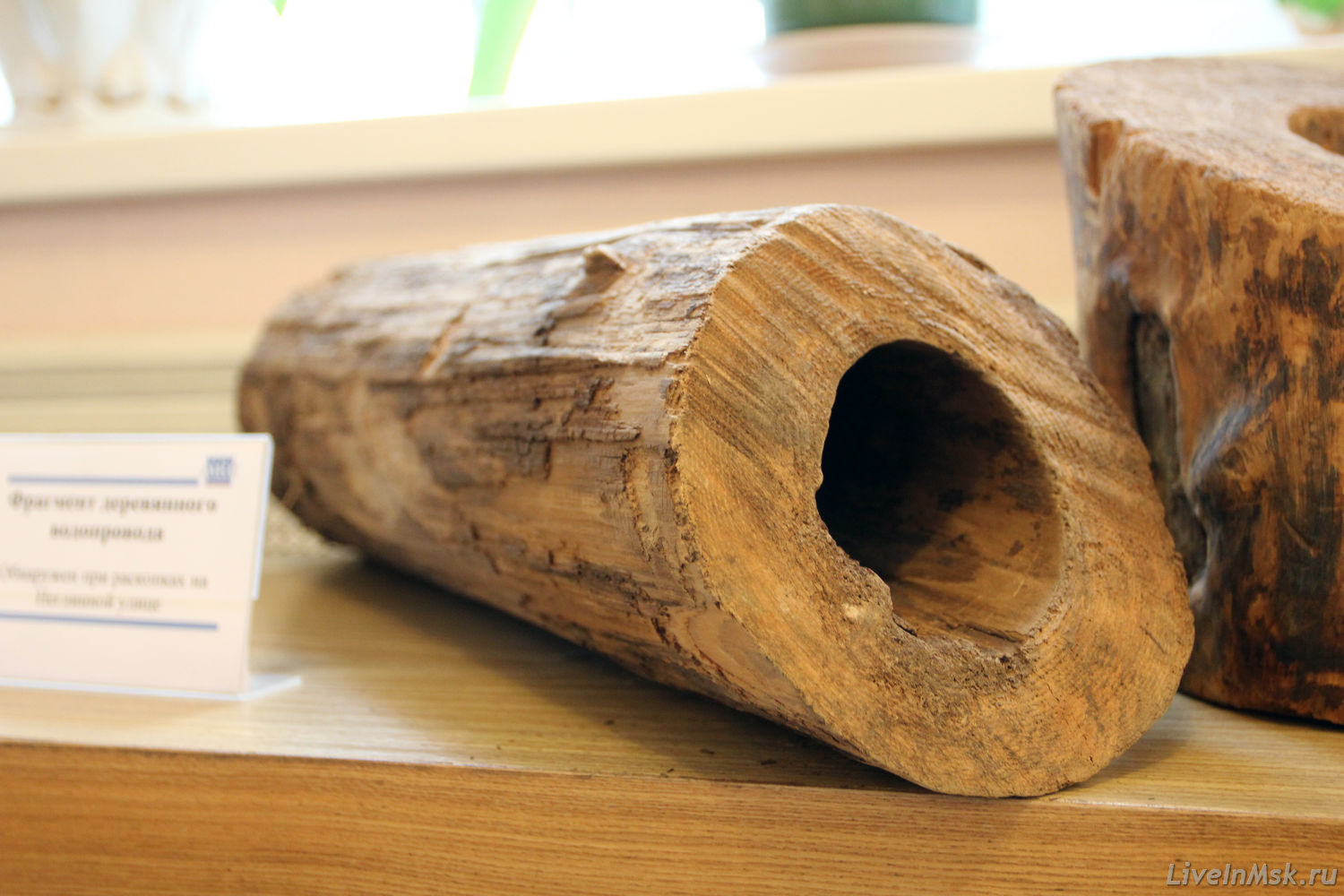 Фрагмент деревянной трубы